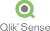 qlik | NEWLINEINFO CORP